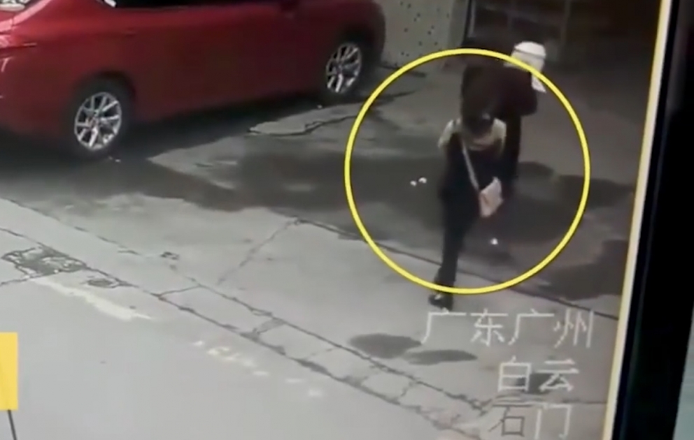 Китаянка попала в больницу из-за упавшей с "неба" собаки