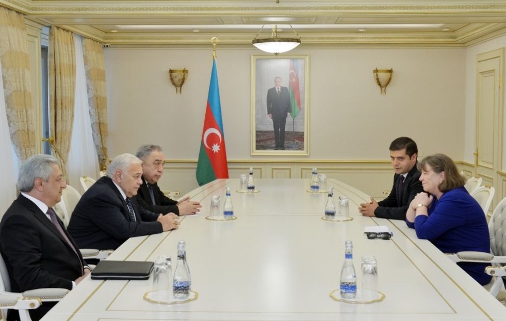 Milli Məclis ilə Avropa Parlamenti arasında əməkdaşlığın perspektivləri müzakirə olunub