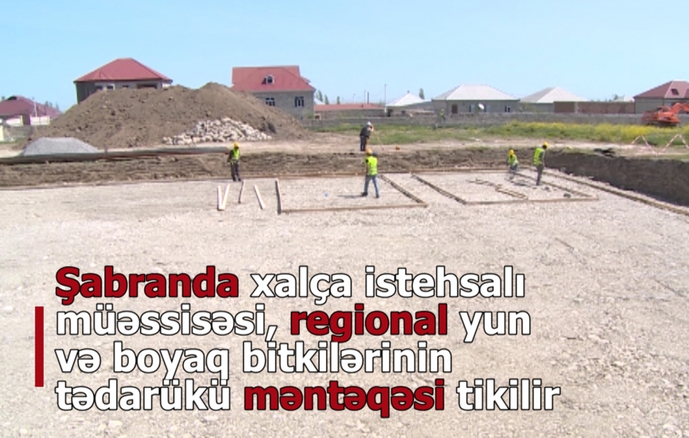 Şabranda xalça istehsalı müəssisəsinin tikintisinə başlanılıb