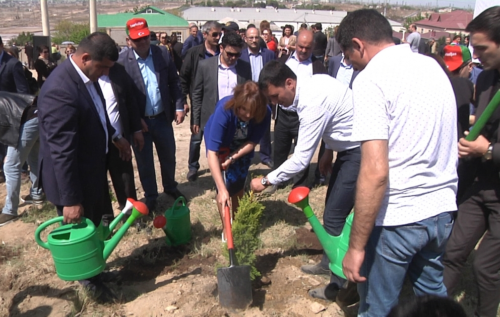Ümummilli lider Heydər Əliyevin anadan olmasının 95 illiyi ilə əlaqədar mindən çox ağac əkilib