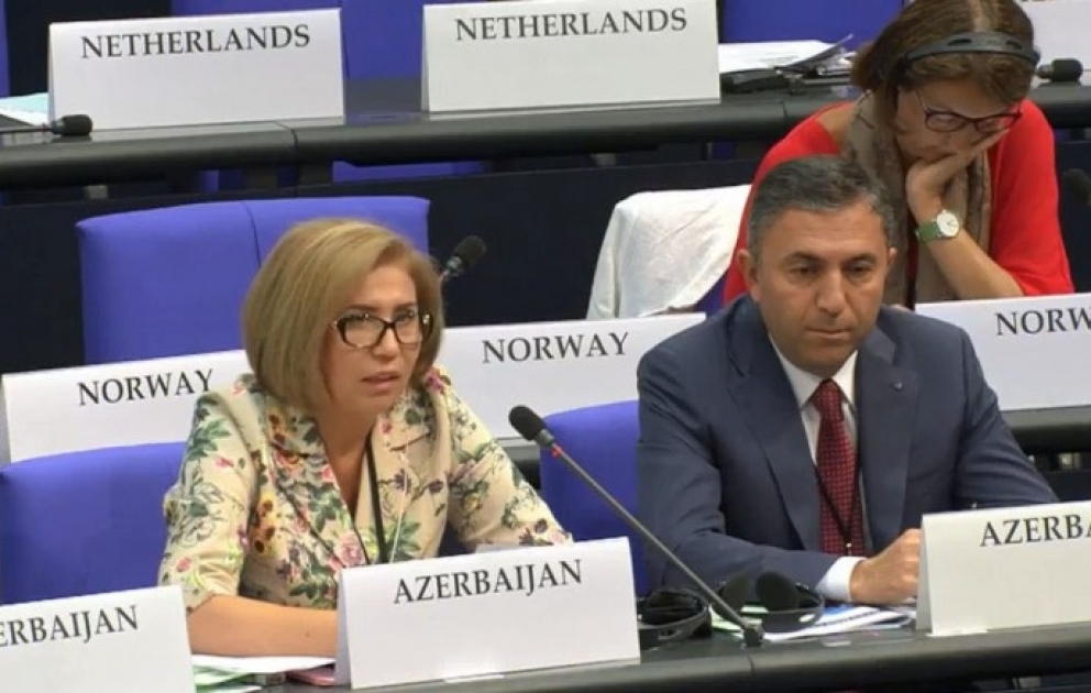 Bahar Muradova avropalı həmkarlarını şübhəli mənbələrdən istifadə etməməyə çağırıb