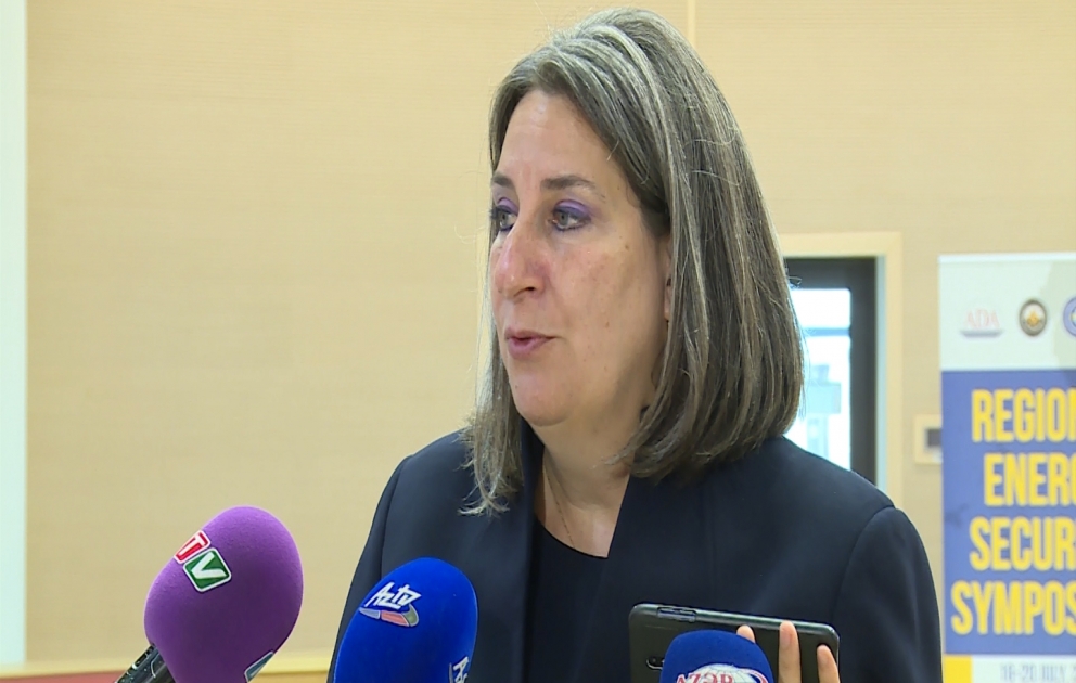 Brenda Şaffer: TANAP layihəsi təkcə Azərbaycan üçün deyil, dünya üçün böyük nailiyyətdir
