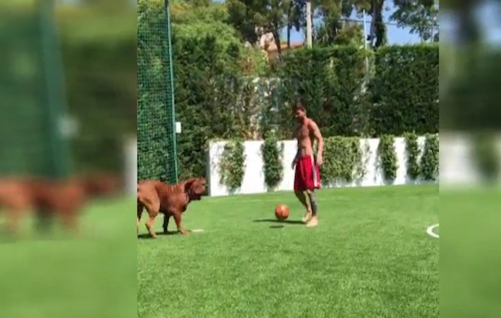 Messidən köpəyinə futbol dərsi