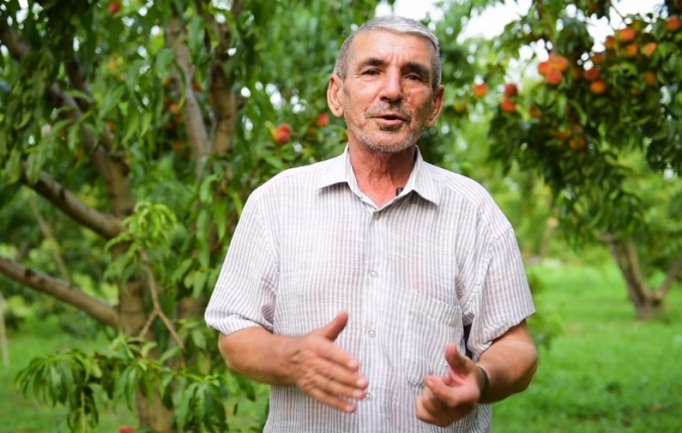 Xaçmazlı fermer: Müştəri sarıdan problemimiz yoxdur