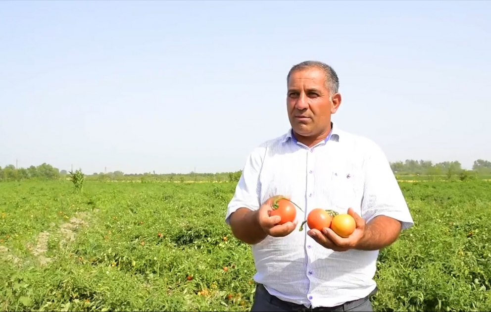 Kənd Təsərrüfatı Nazirliyi ilə AZƏRTAC-ın birgə layihəsi: “Kəndbəkənd”