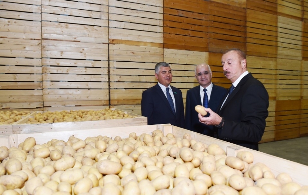 Prezident İlham Əliyev İsmayıllıda “Buta Qrup” MMC tərəfindən yaradılan aqroparkın açılışında iştirak edib