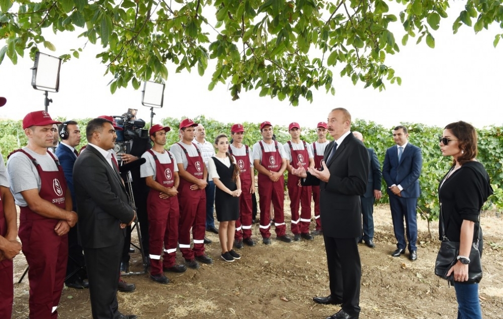 Präsident Ilham Aliyev nimmt an Eröffnung des Komplexes für Weinbau und Weinbereitung von GmbH "Schirvans Weine" teil