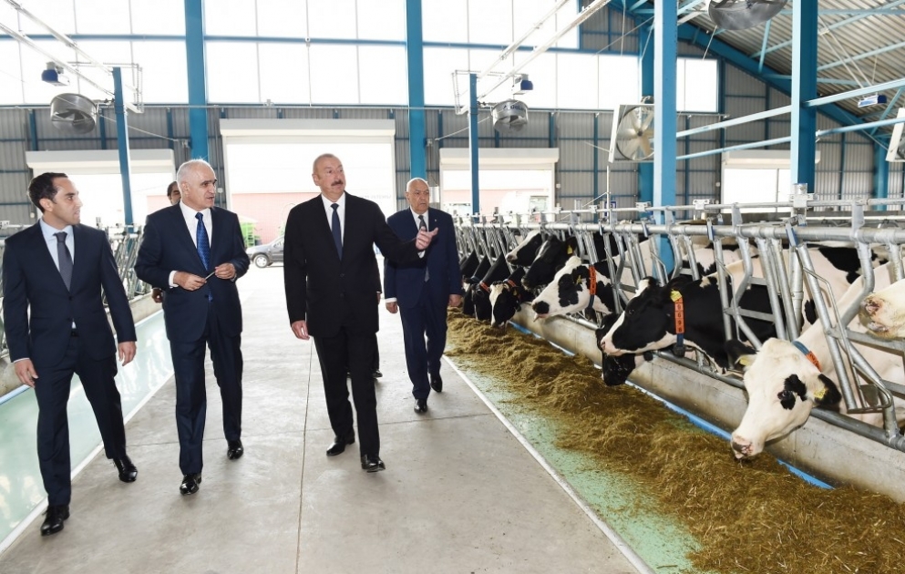In Ismayilli Region moderner Viehzuchtkomplex in Betrieb genommen