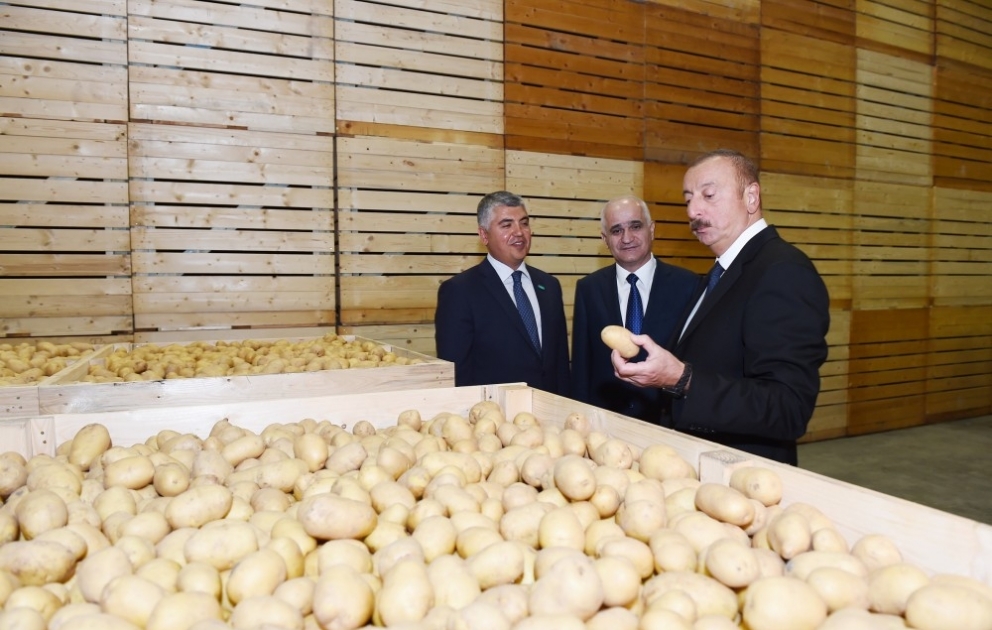 Ein weiterer Agropark in Ismayilli geschaffen