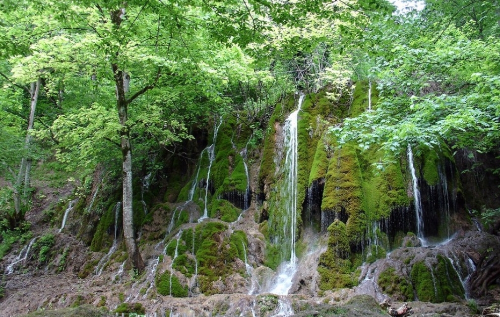 Qaxın təbiət abidələri: Mamırlı şəlaləsi