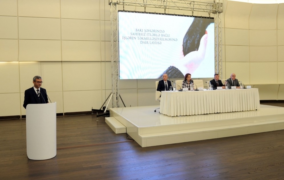 Проблема бездомных животных в Баку будет решена