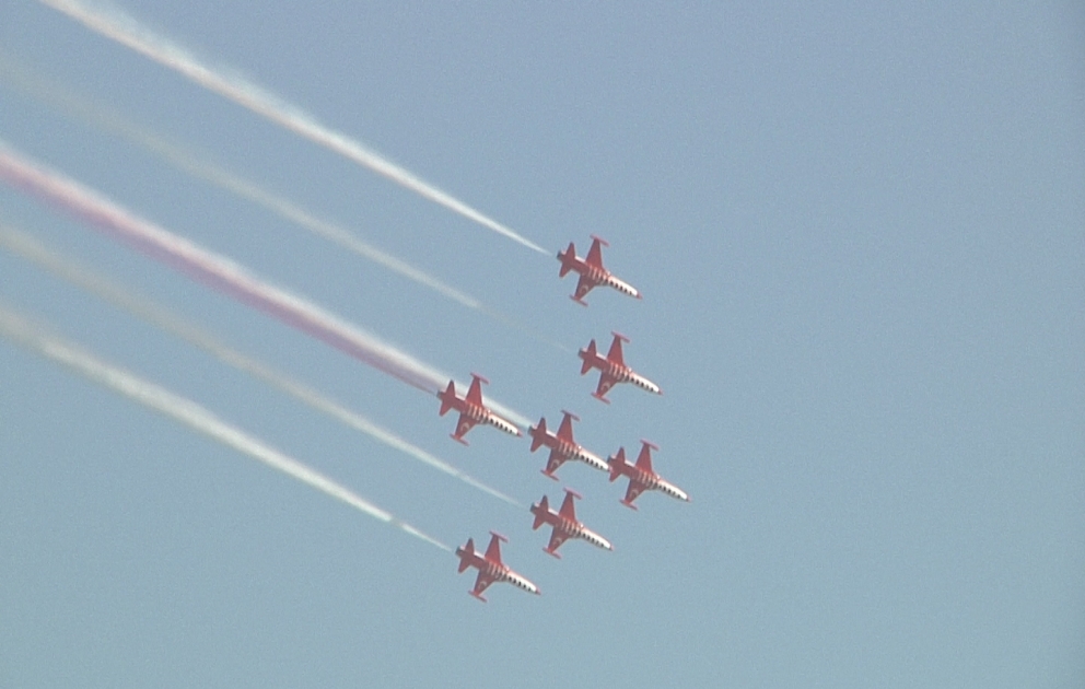 Falcones decorating the sky of Baku