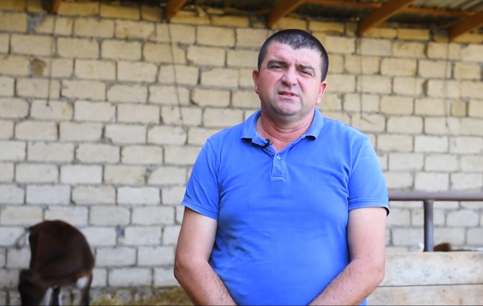 Müşfiq Həsənov: Fermer öz təsərrüfatının iqtisadi səmərəliliyini təhlil etməyi bacarmalıdır