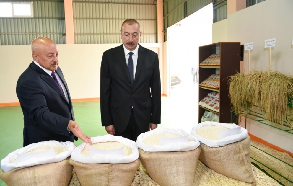 President Ilham Aliyev attended opening of Masalli-Nematlari LLC`s rice plant