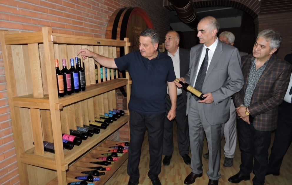 Elmi-praktik seminarda üzümçülüyün və şərabçılığın inkişafı məsələləri müzakirə olunub