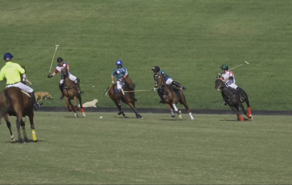 Polo üzrə Azərbaycan millisi Avropa çempionatının finalına vəsiqə qazanıb