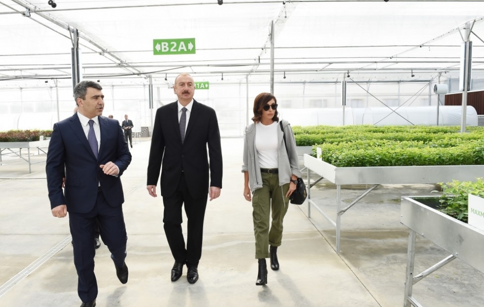 Le président Ilham Aliyev visite une pépinière de l’Institut de recherche sur la culture des fruits et du thé