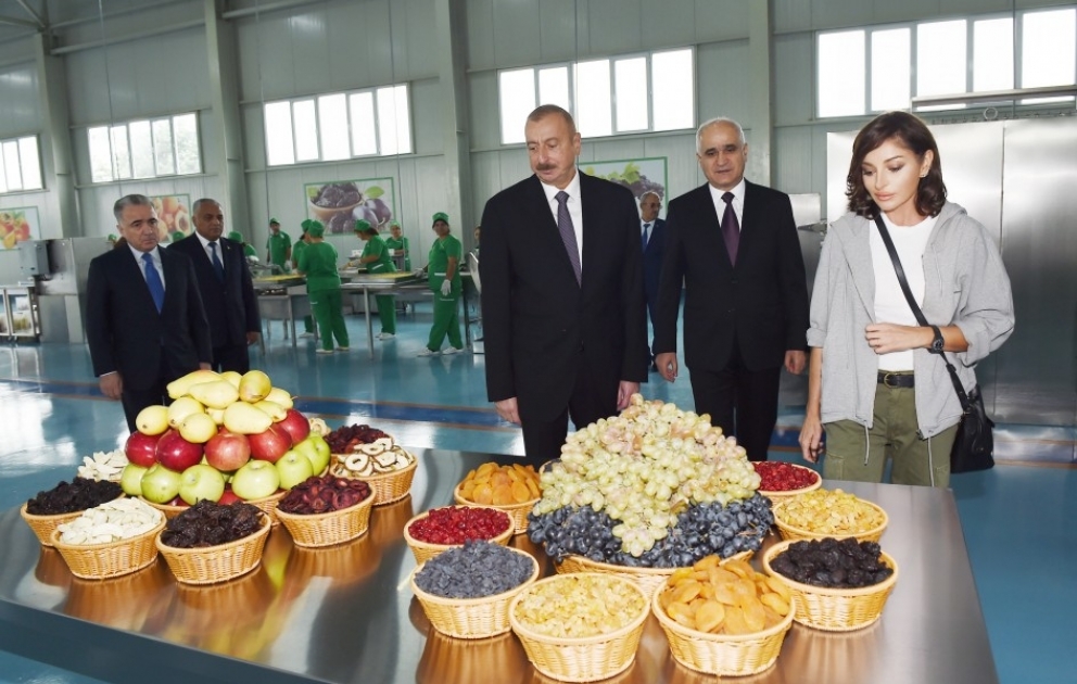 President Ilham Aliyev attended inauguration of agricultural plant of Gubaekoagrar LLC