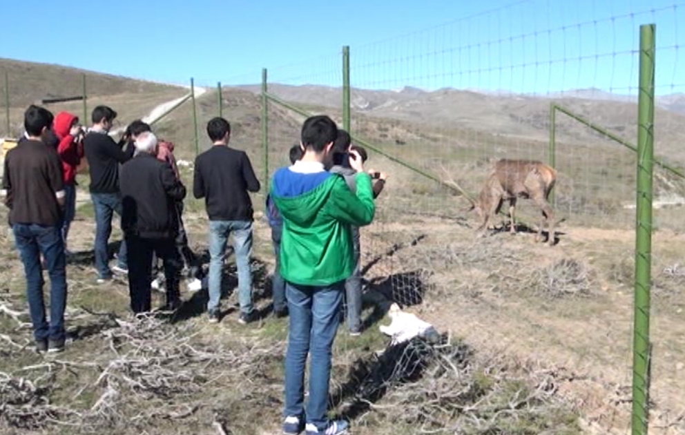 Bakı məktəblilərinin bir qrupunun Şamaxı Safari Parkına ekskursiyası təşkil olunub