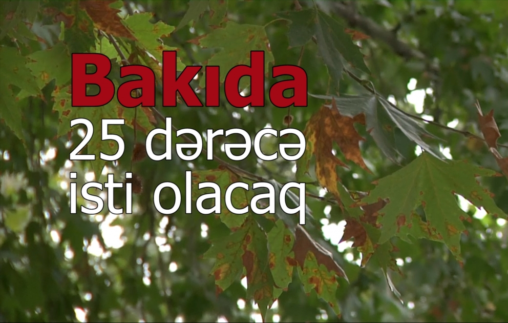 Bakıda 25 dərəcə isti olacaq