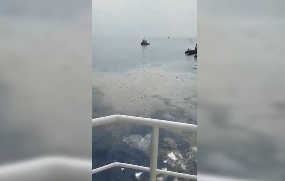 İndoneziyada sərnişin təyyarəsi qəzaya uğradı