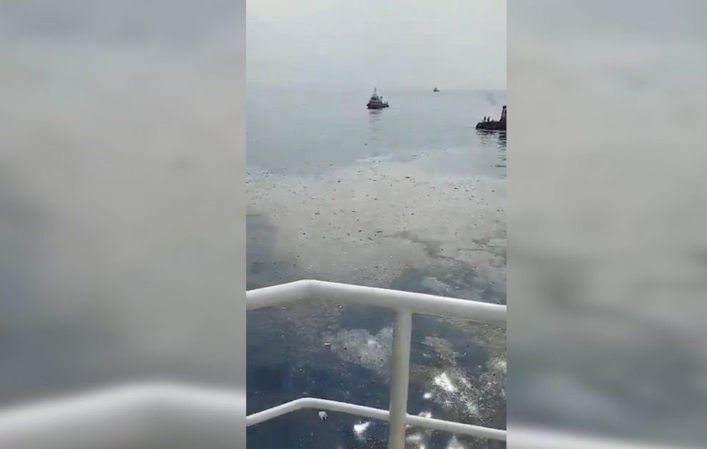 Indonesian plane with 189 aboard crashes into sea