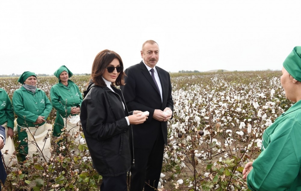 President Ilham Aliyev viewed cotton field in Hindarkh settlement in Aghjabadi