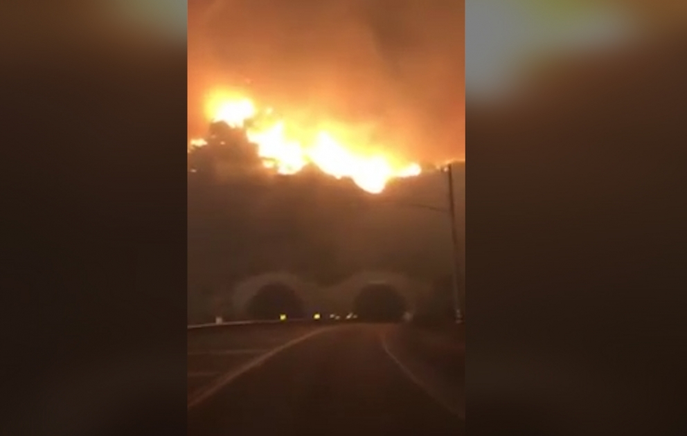 Американка сняла на видео поездку сквозь страшный лесной пожар в Калифорнии
