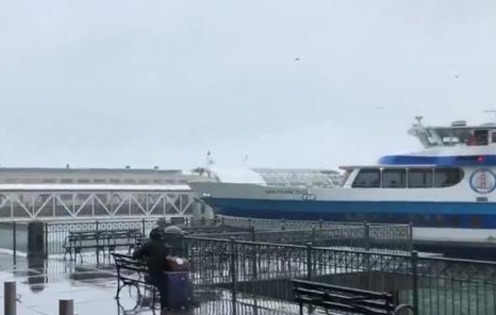 В США паром врезался в причал, пострадали два человека