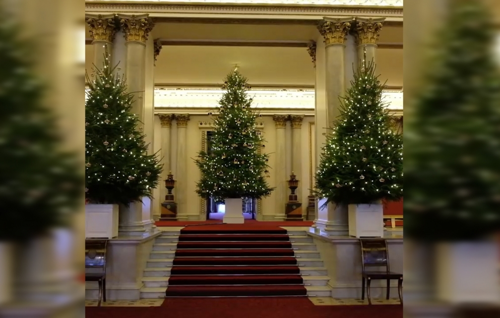 Christmas trees arrive at Buckingham Palace