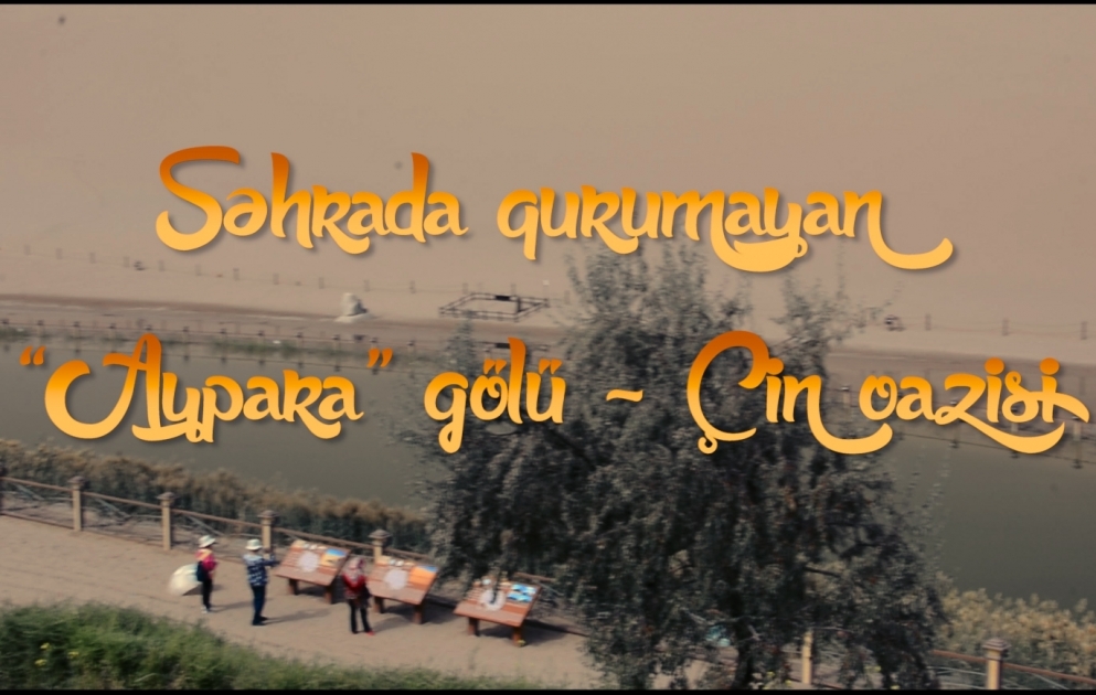 Səhrada qurumayan “Aypara” gölü – Çin oazisi
