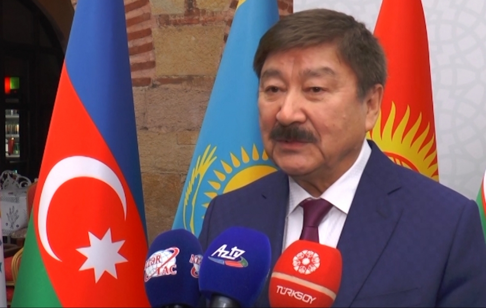 Düsen Kaseinov: 2019-cu ildə dünyanın hər yerində Nəsimi ilə bağlı tədbirlərimiz olacaq