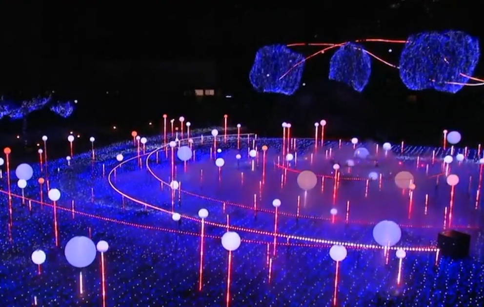 Tokyo's illuminations draw the crowds