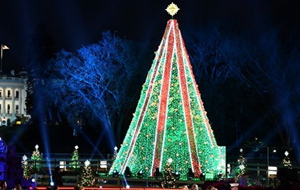 Man climbs National Christmas Tree, sparking police response near White House