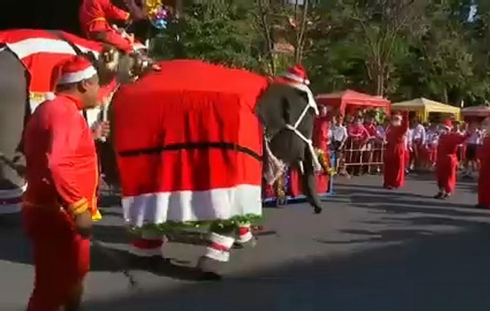 Des pères Noël à dos d'éléphant