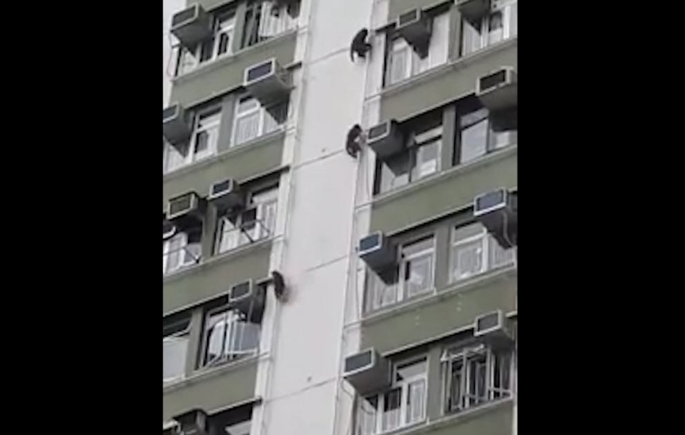 Десант совершил экстремальный спуск по трубам жилого дома