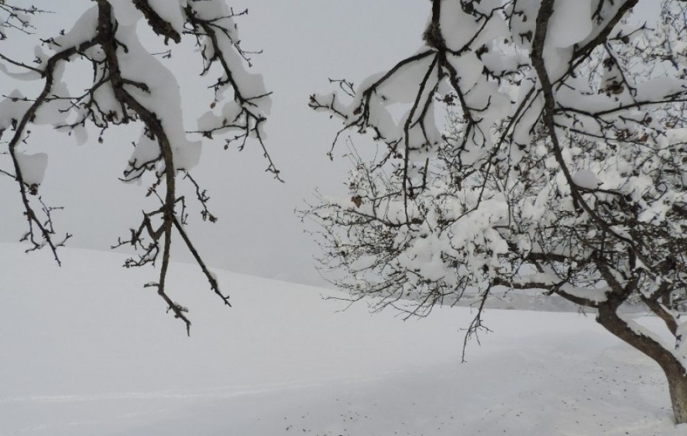 Temperature falls to 13 degrees in mountainous areas of northern region