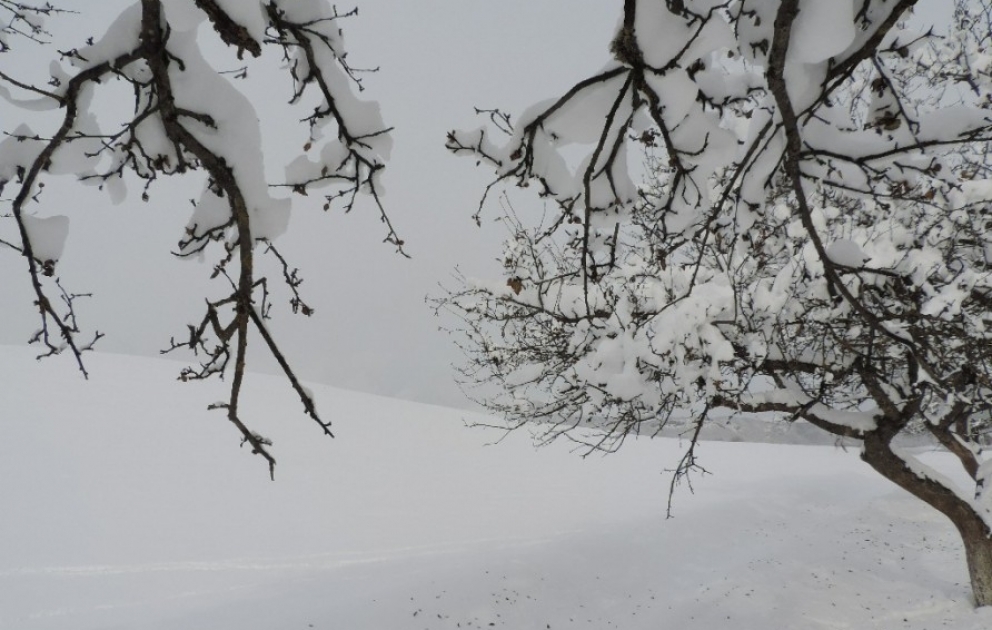 In den Gebirgsgebieten des nördlichen Teils des Landes sank die Temperatur auf - 13 Grad Celsius