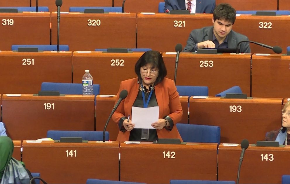 Sahibə Qafarova: Azərbaycanda 2019-cu ilin “Nəsimi ili” elan olunması humanizm ideyalarının yaşadılmasına bir çağırışdır