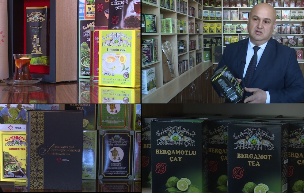 Çay dəmləməyin sirləri, yaxud 2 saat qalan dəmi niyə içmək olmaz – Lənkərandan REPORTAJ