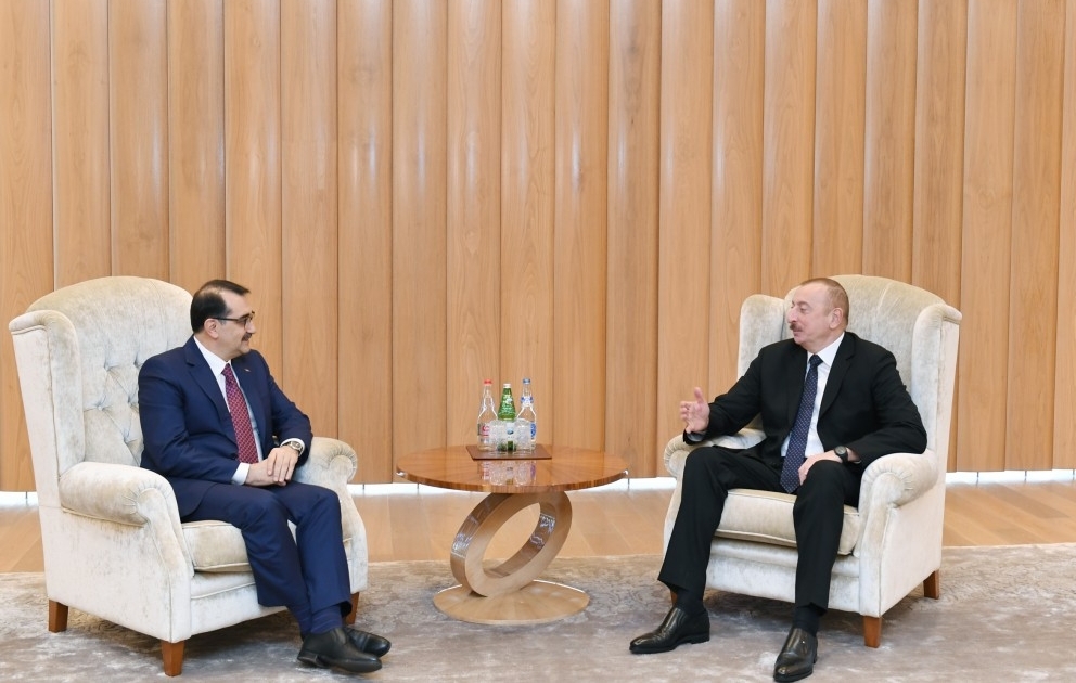 Entretien du président Ilham Aliyev avec le ministre turc de l’Energie et des Ressources naturelles