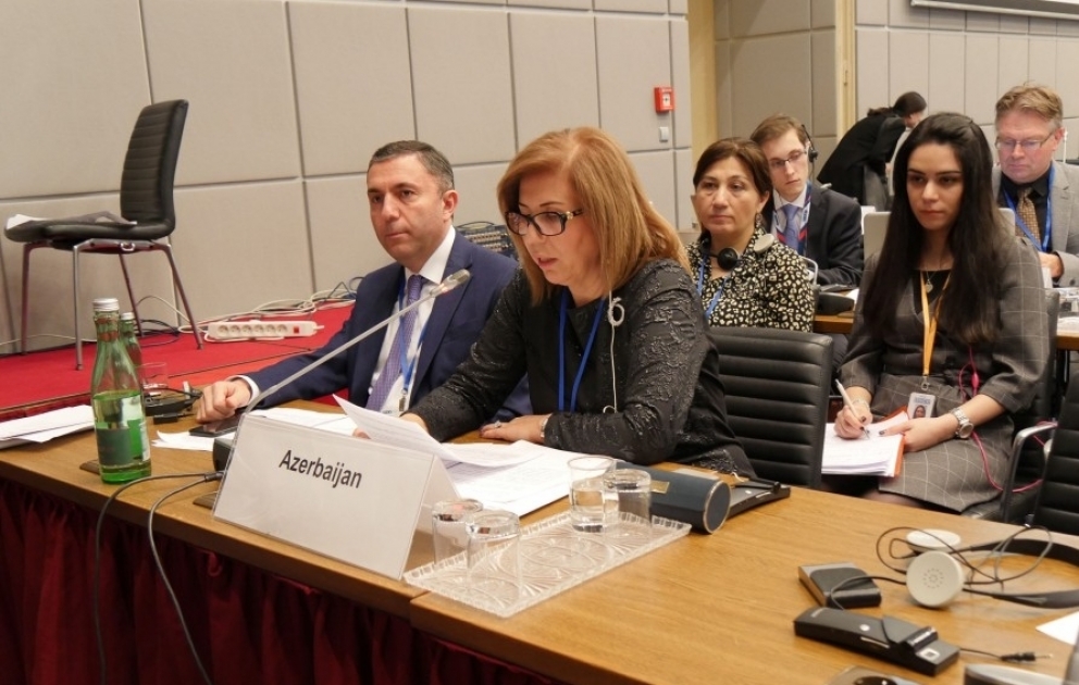 Bahar Muradova: Sərhəd zonalarında və təmas xətti boyu yaşayan insanların hüquqlarının qorunması mühüm əhəmiyyət daşıyır