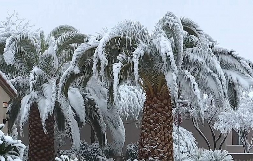 Впервые за полвека Лас-Вегас засыпало снегом