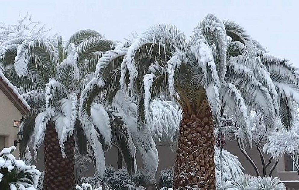 Las Vegas sous la neige pour la première fois depuis 80 ans