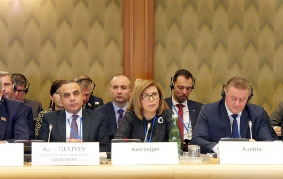 'Resolution of conflicts in OSCE area is possible only through constructive dialogue'