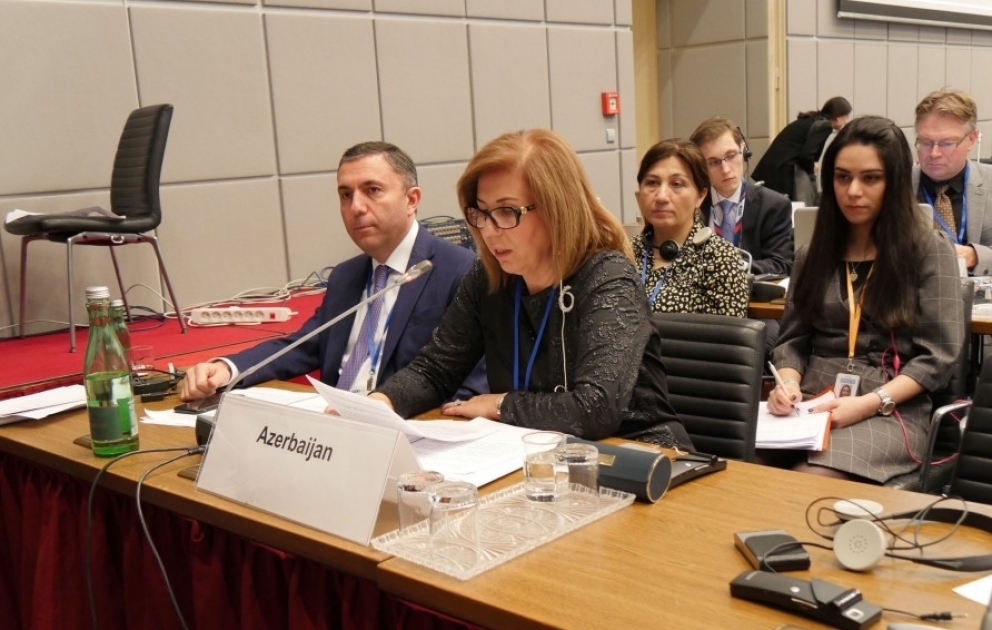 OSCE PA winter session discusses protection of human rights in emergency situations