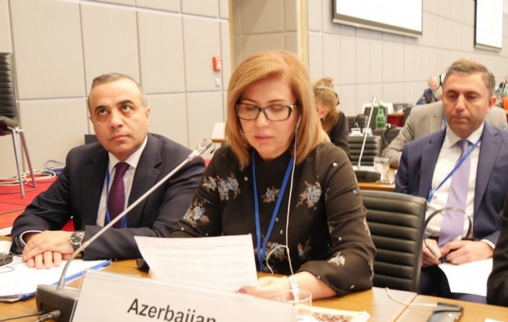 ATƏT sənədlərində Dağlıq Qarabağın azərbaycanlı və erməni icmaları münaqişə tərəfləri deyil, yalnız maraqlı tərəflər kimi müəyyən edilir