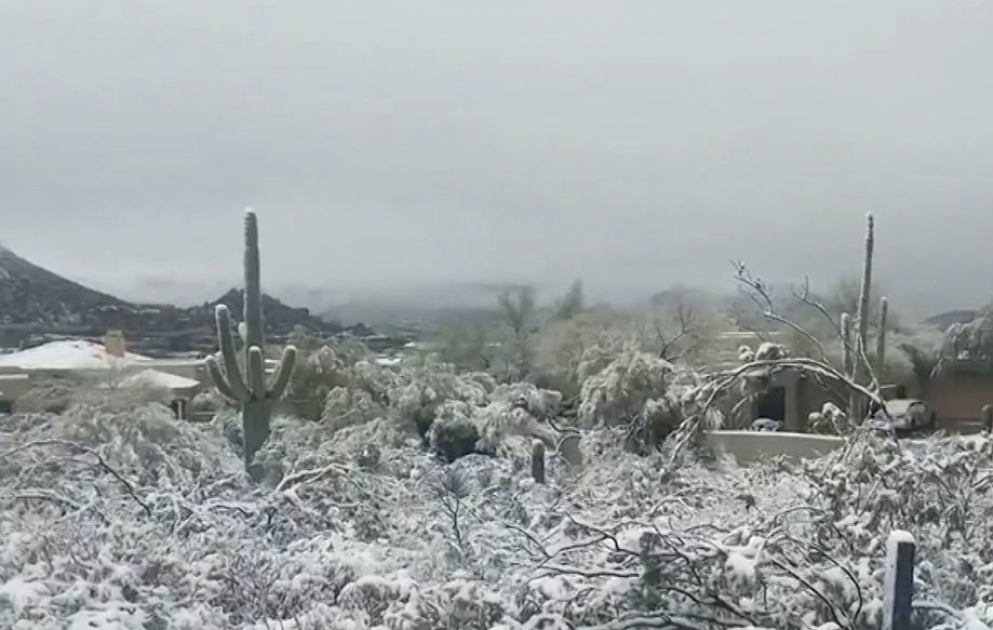 ABŞ-ın Arizona ştatına son bir əsrin ən güclü qarı yağıb