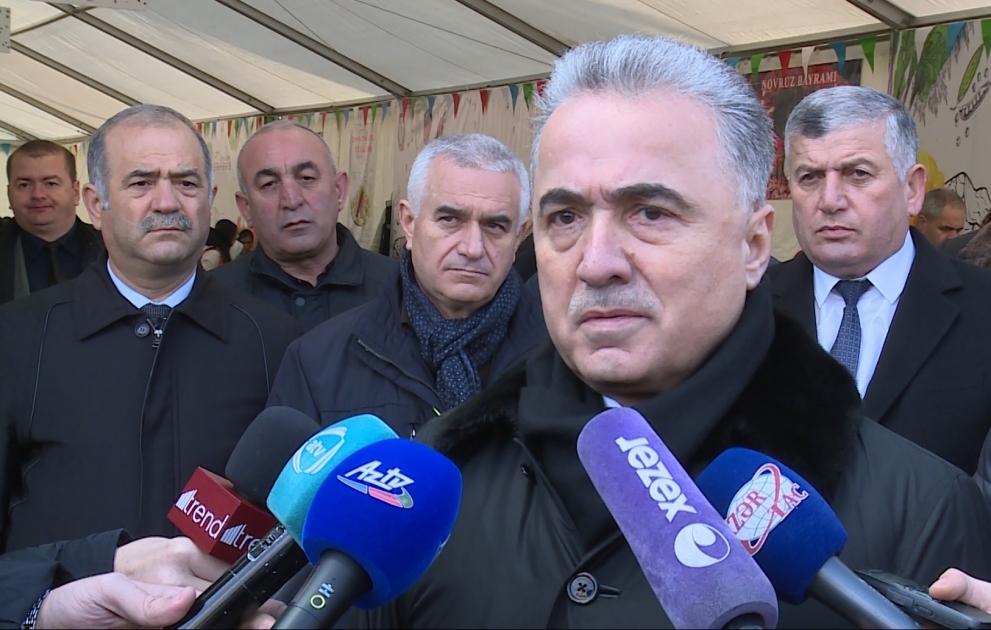 Зейнал Нагдалиев: За счет местного производства сократился импорт некоторых товаров