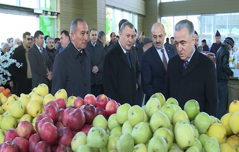 Novruz yarmarkalarında qiymətlər bazarlarla müqayisədə 50 faiz ucuzdur